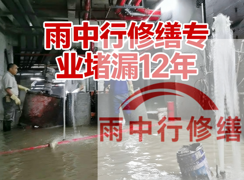 青岛中国五矿某大型污水处理厂堵漏案例